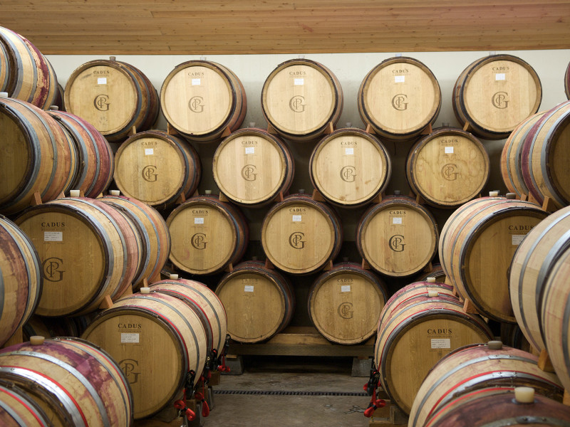 wooden barrels stacked up in the cellars of Patricia Green vineyards in Oregon, USA