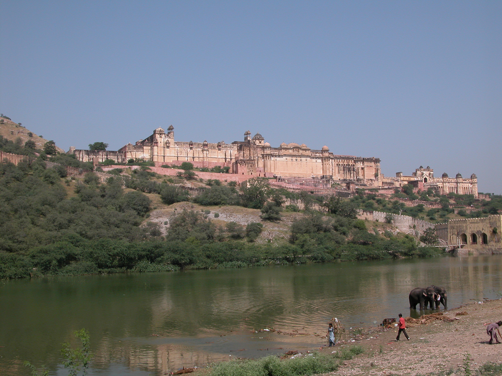 elephants watering in front of the Amber Fort near Jaipur, Rajasthan, India