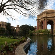 gardens and pond outside of the Palace of Fine Arts in San Francisco, California, USA