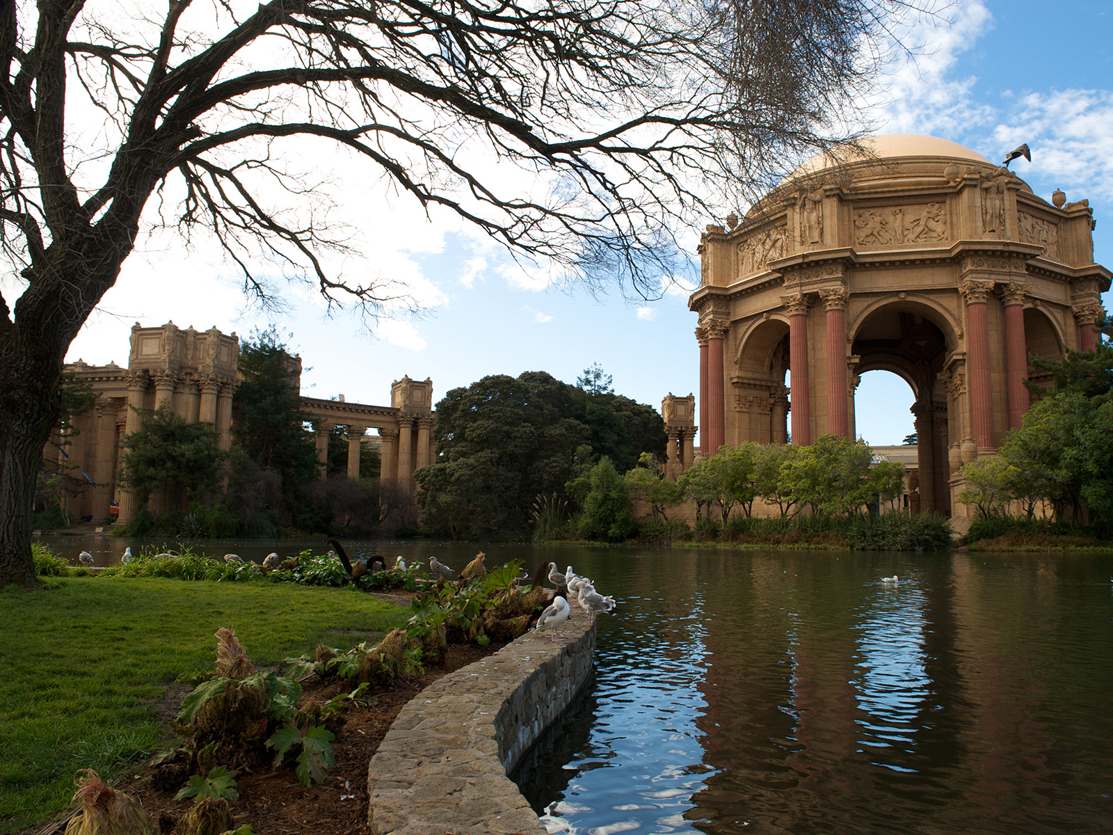 gardens and pond outside of the Palace of Fine Arts in San Francisco, California, USA
