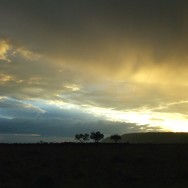 glorious sunset on the plains of the Masai Mara in Kenya