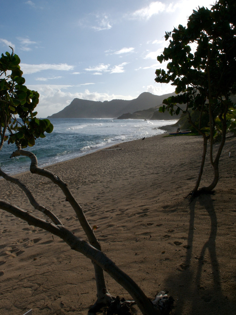 the Grand Saline beach on the island of Saint Barthelemy, French West Indies